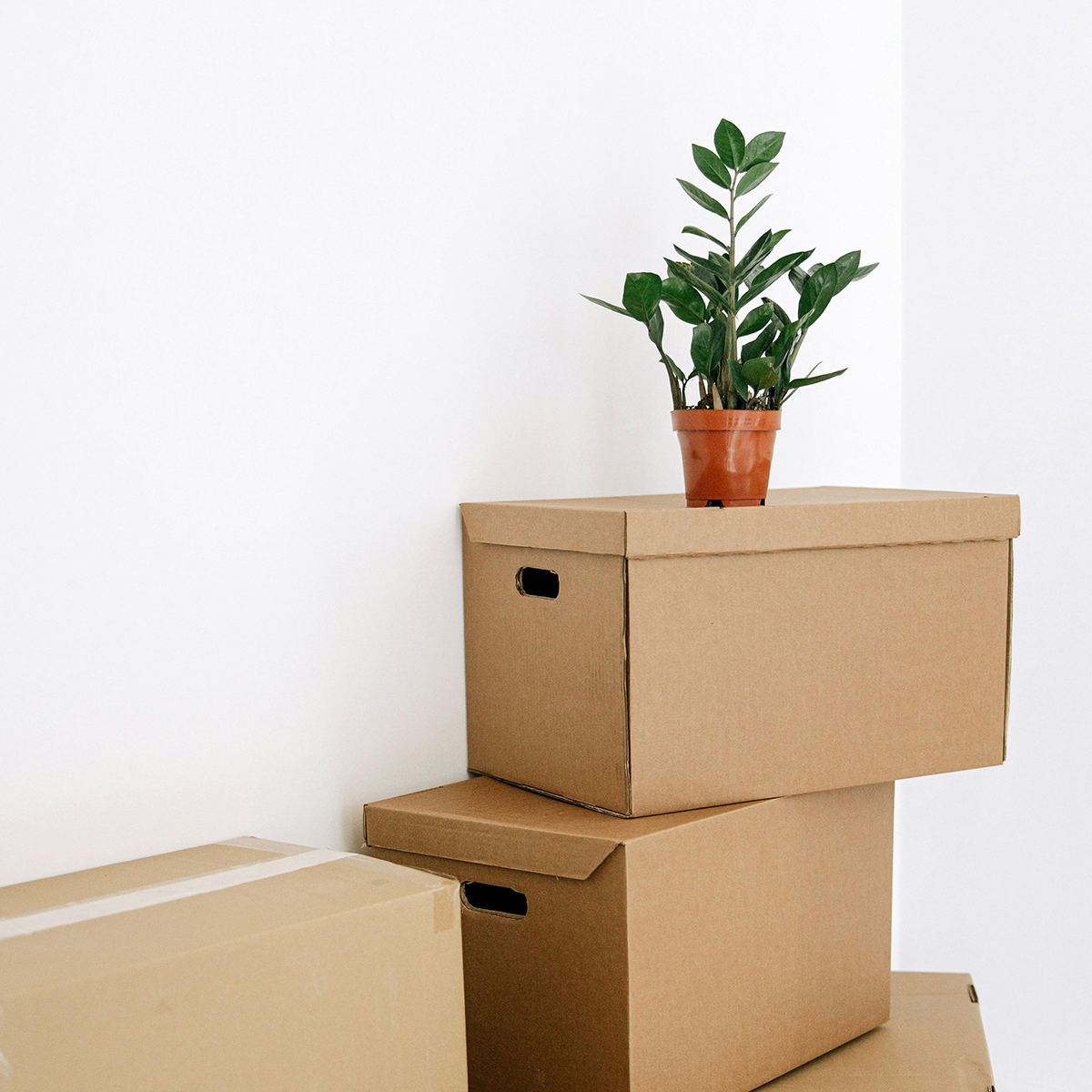 plan_on_top_of_boxes_asremoval